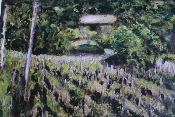 Vineyard in Tuscany, Acrylics £695 600x400